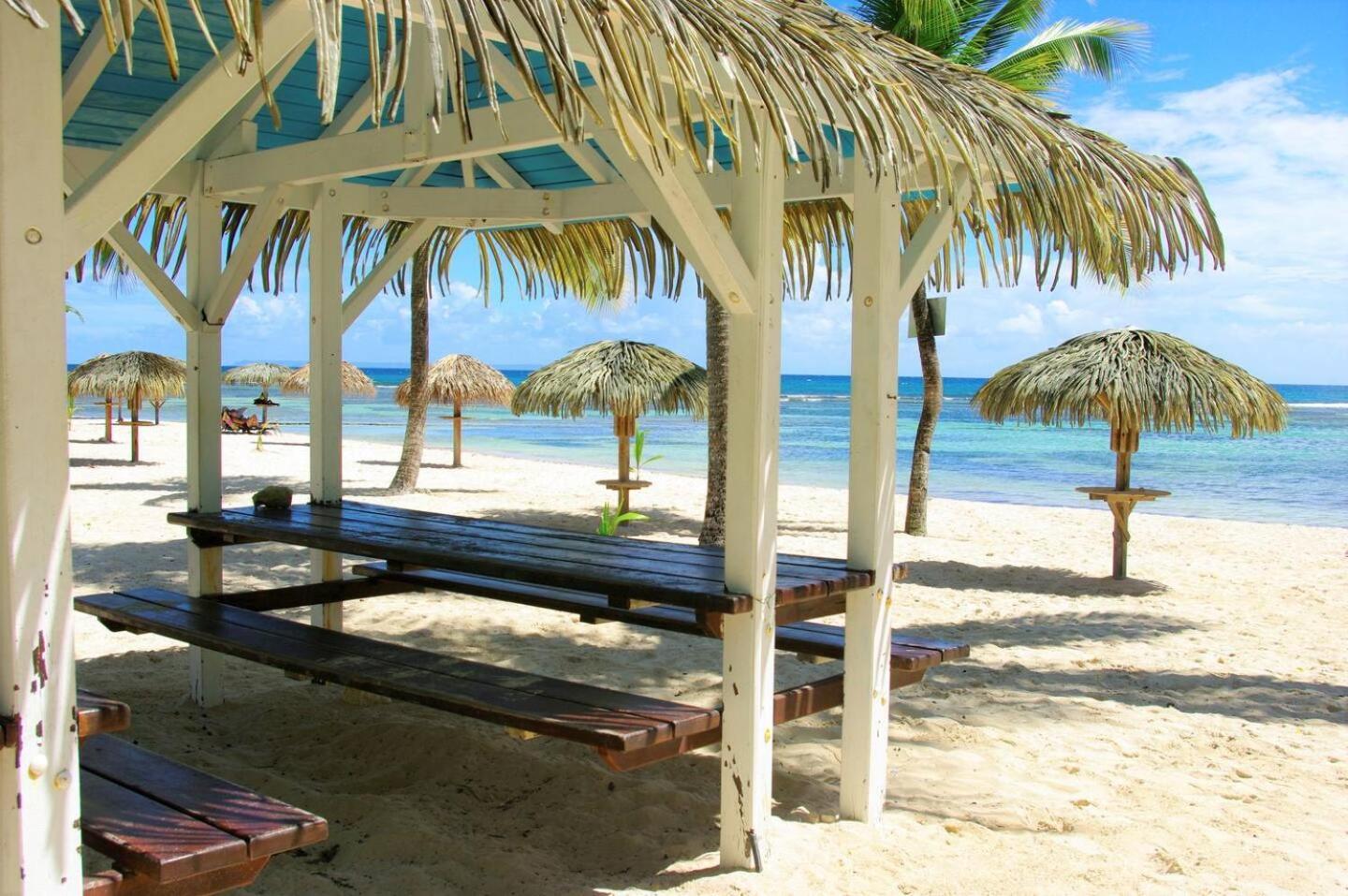 Studio Anse Des Rochers 4 Personnes سانت فرانسوا المظهر الخارجي الصورة